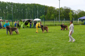 DSC_3421.jpg