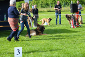 DSC_3766.jpg