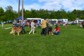 DSC_3846.jpg