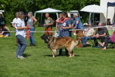DSC_6702.jpg