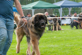DSC_1230.jpg