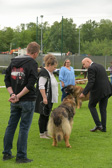 DSC_3782.jpg
