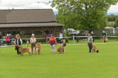 DSC_4014.jpg