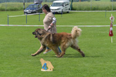 DSC_4605.jpg
