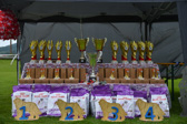 DSC_4161.jpg