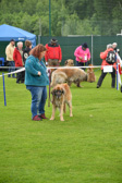 DSC_4184.jpg