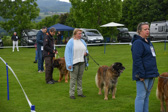 DSC_4187.jpg