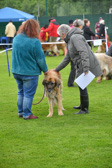 DSC_4190.jpg