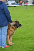 DSC_4191.jpg