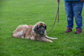 DSC_4193.jpg