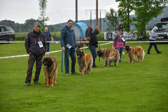 DSC_4196.jpg