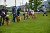 DSC_4197.jpg