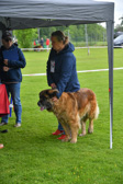 DSC_4198.jpg