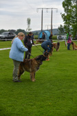 DSC_4199.jpg