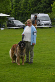 DSC_4206.jpg