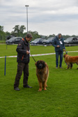 DSC_4209.jpg