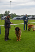 DSC_4210.jpg