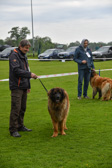 DSC_4211.jpg
