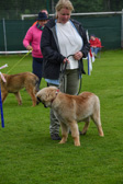 DSC_4216.jpg