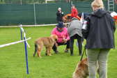DSC_4221.jpg