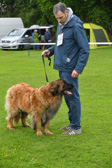 DSC_4223.jpg