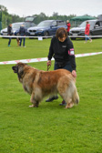 DSC_4228.jpg