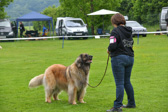 DSC_4237.jpg