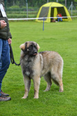 DSC_4242.jpg