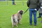 DSC_4253.jpg