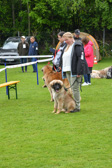 DSC_4254.jpg