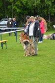 DSC_4255.jpg