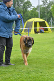 DSC_4256.jpg