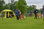 DSC_4262.jpg