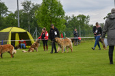 DSC_4263.jpg