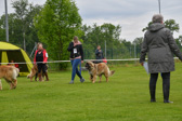 DSC_4264.jpg