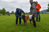 DSC_4272.jpg