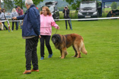 DSC_4283.jpg