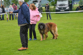 DSC_4284.jpg