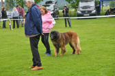 DSC_4285.jpg