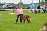 DSC_4286.jpg