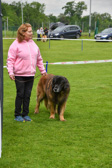 DSC_4292.jpg