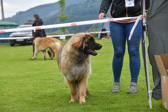 DSC_4294.jpg