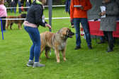 DSC_4297.jpg