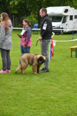 DSC_4300.jpg
