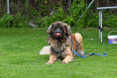 DSC_4318.jpg