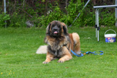 DSC_4319.jpg