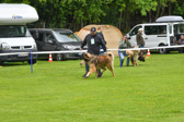 DSC_4328.jpg
