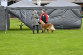 DSC_4329.jpg