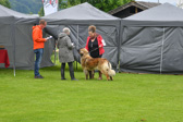 DSC_4330.jpg