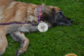 DSC_4347.jpg